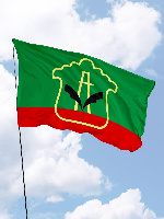 Флаг Альметьевска 90х135 см