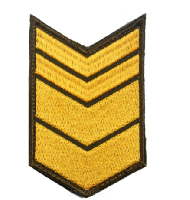 Шеврон по годам службы (годовка) 12 лет службы (выслуги лет), 6х9,5 см Шеврон по годам службы (годовка) 12 лет службы (выслуги лет), 6х9,5 см