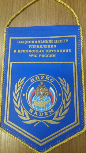 Вымпел печатный жесткий